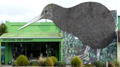 Kiwi-Land Neuseeland