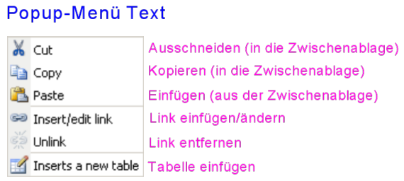 Übersetzung des Popup-Menüs im Text